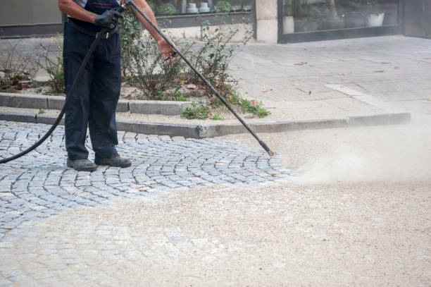 Best Fence Cleaning  in Poinciana, FL